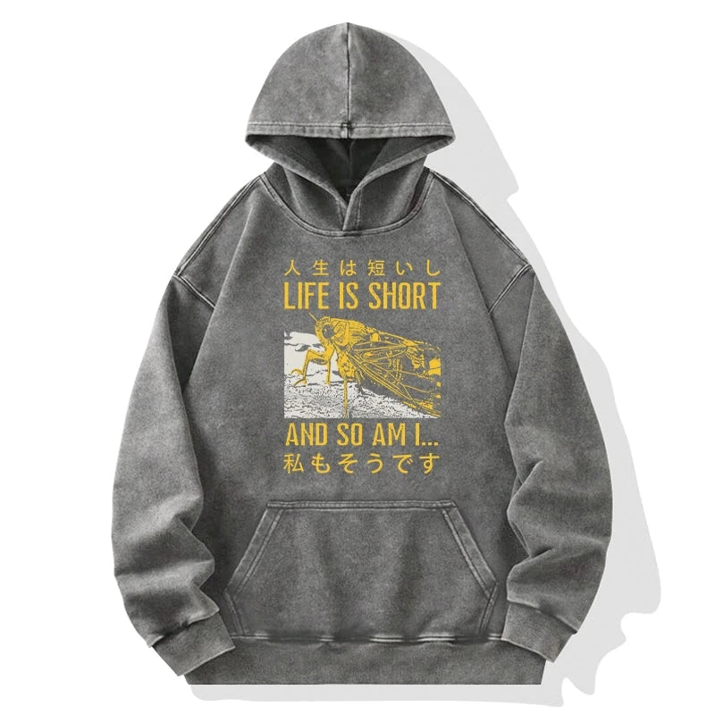 A Grasshopper With A Short Life Washed Hoodie