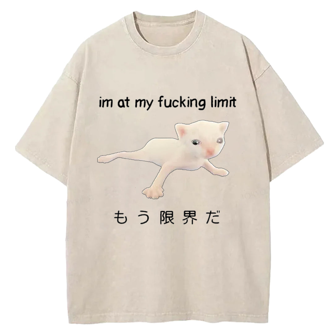 Im At My Fucking Limit Washed Crew Neck T-Shirt