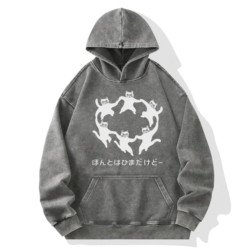 Leisure Cats Japanese Washed Hoodie