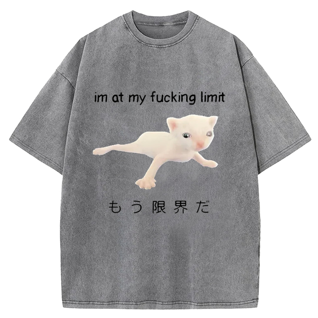 Im At My Fucking Limit Washed Crew Neck T-Shirt