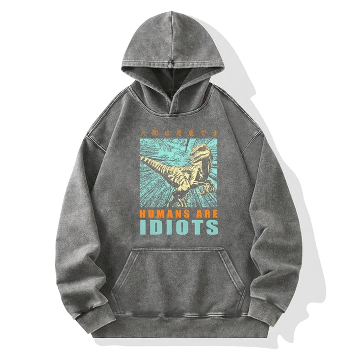 Mocking Dinosaurs Japanese Washed Hoodie