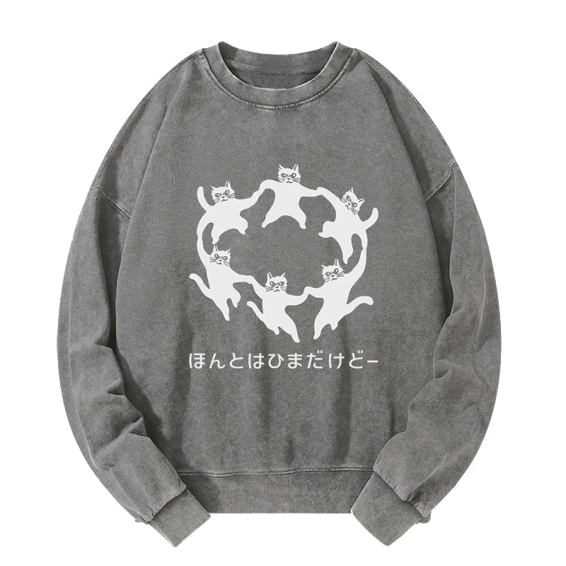 Leisure Cats Japanese Washed Sweatshirt