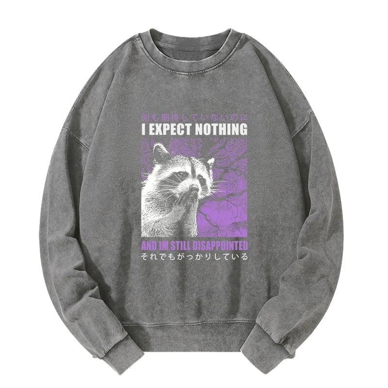 Disappointed Raccoon Japanese Washed Sweatshirt