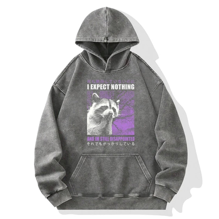 Disappointed Raccoon Japanese Washed Hoodie
