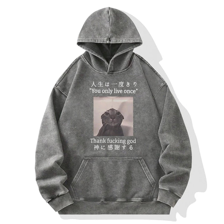 Funny Melancholy Cat Washed Hoodie