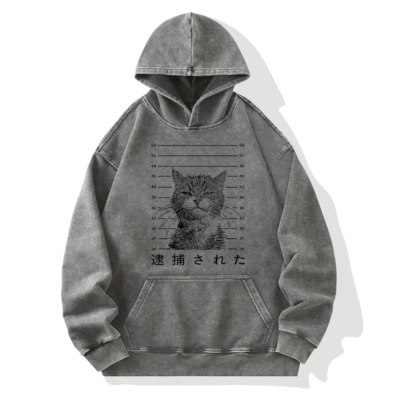 Cat That Was Arrested Washed Hoodie