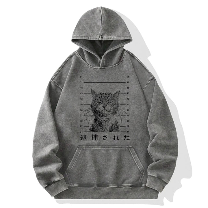 Cat That Was Arrested Washed Hoodie