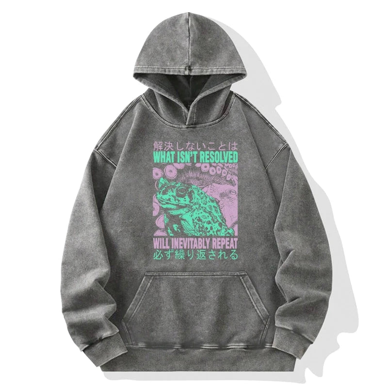 What Ist Resolved Forg Washed Hoodie