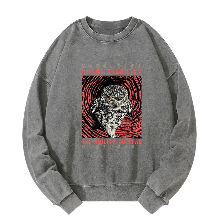 I Have Stability Owl Washed Sweatshirt