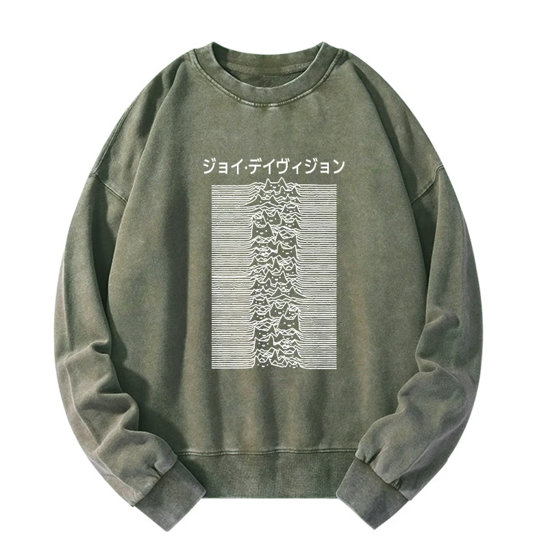 Funny Cat Davision Washed Sweatshirt