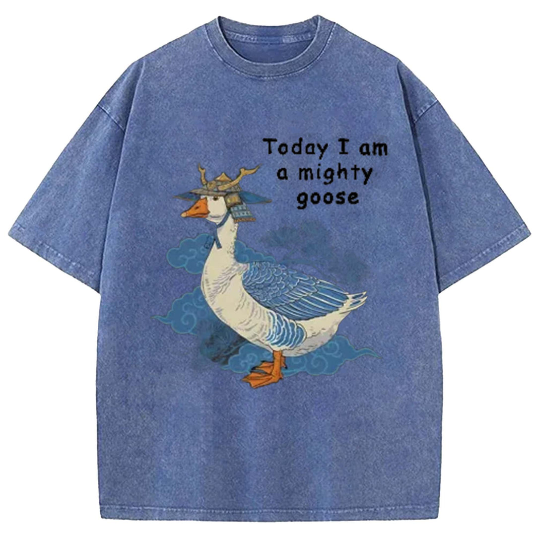Today I Am Amighty Goose Washed Crew Neck T-Shirt