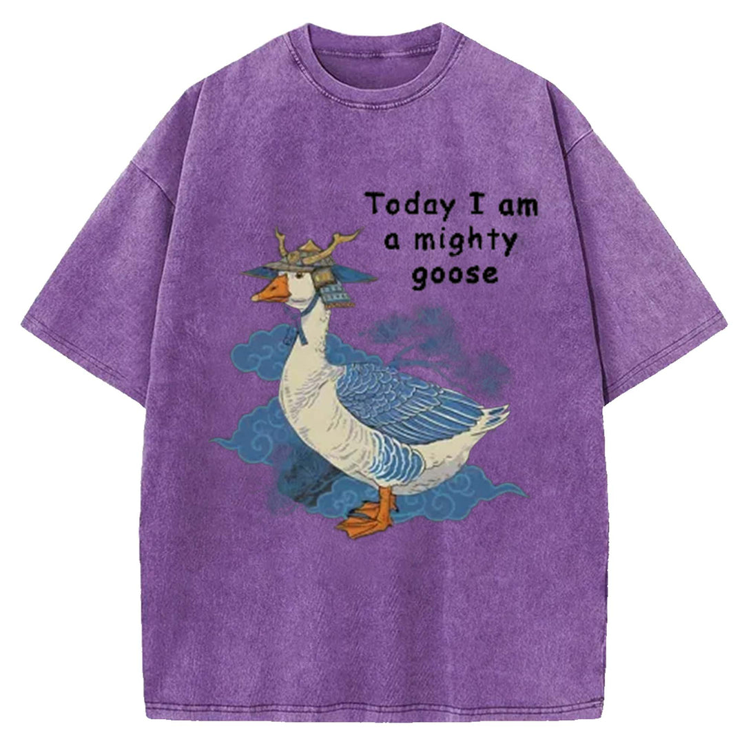 Today I Am Amighty Goose Washed Crew Neck T-Shirt