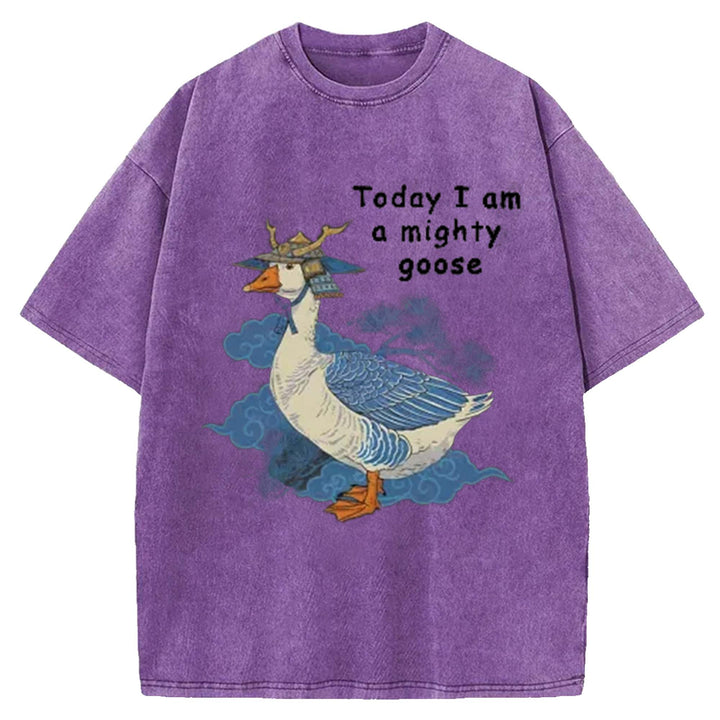 Today I Am Amighty Goose Washed Crew Neck T-Shirt