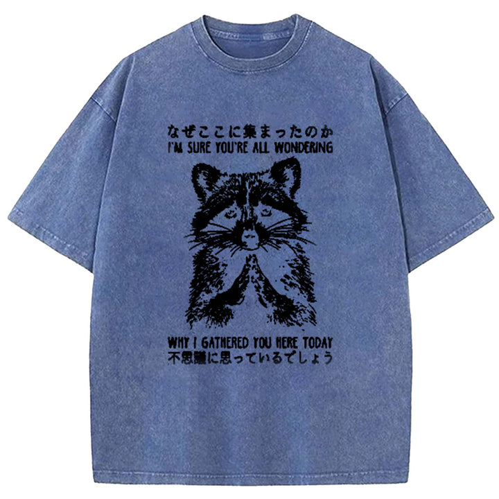 I'M SURE YOU'RE ALL WONDERING Washed Crew Neck T-Shirt