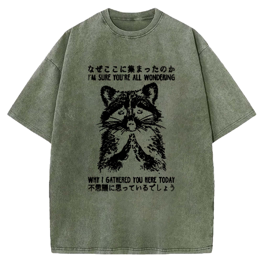 I'M SURE YOU'RE ALL WONDERING Washed Crew Neck T-Shirt