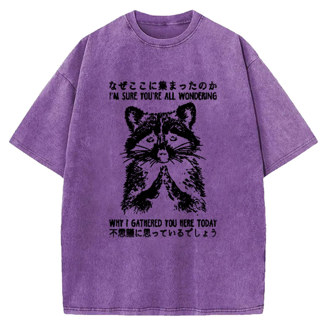 I'M SURE YOU'RE ALL WONDERING Washed Crew Neck T-Shirt