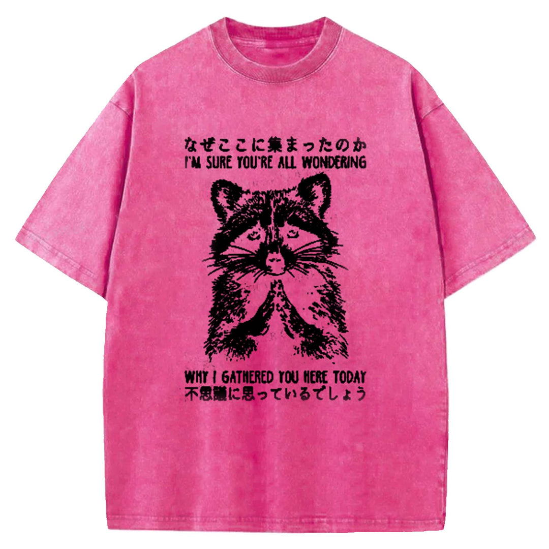 I'M SURE YOU'RE ALL WONDERING Washed Crew Neck T-Shirt