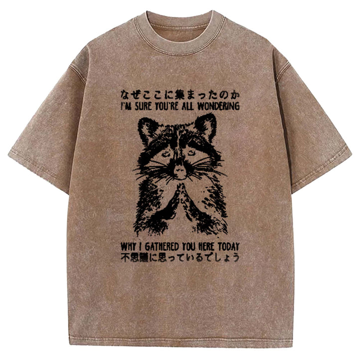I'M SURE YOU'RE ALL WONDERING Washed Crew Neck T-Shirt
