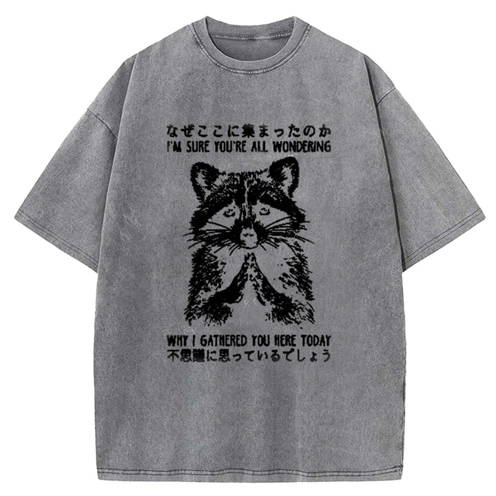 I'M SURE YOU'RE ALL WONDERING Washed Crew Neck T-Shirt