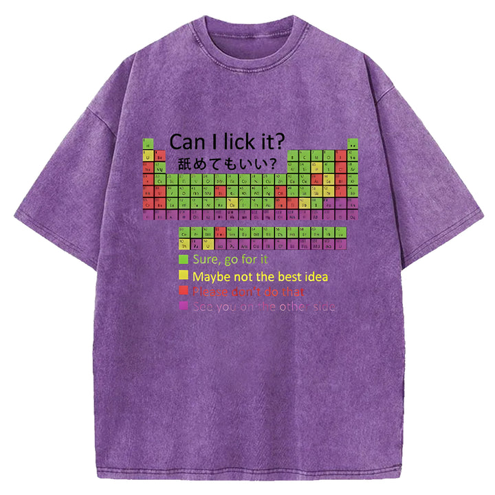 Can I Lick It Washed Crew Neck T-shirt