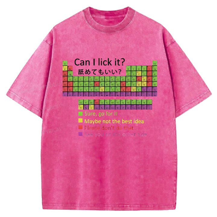 Can I Lick It Washed Crew Neck T-shirt