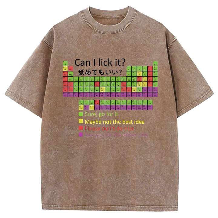 Can I Lick It Washed Crew Neck T-shirt