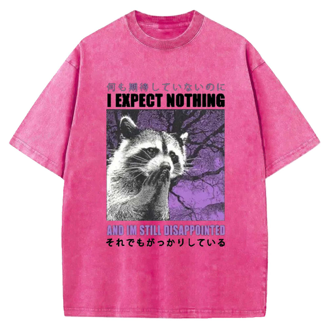 I EXPECT NOTHING Washed Crew Neck T-Shirt