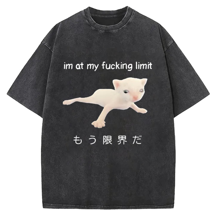 Im At My Fucking Limit Washed Crew Neck T-Shirt