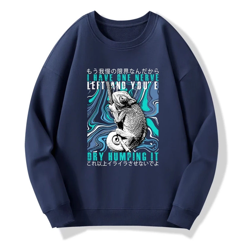 I Have One Nerve Chameleon Sweatshirt