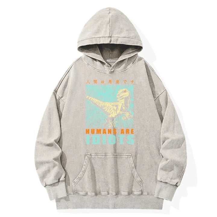 Mocking Dinosaurs Japanese Washed Hoodie
