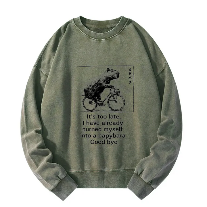 Funny Capybara Riding A Bicycle Washed Sweatshirt