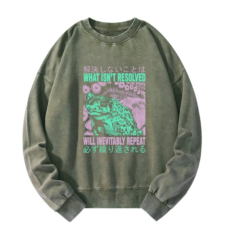 What Ist Resolved Forg Washed Sweatshirt
