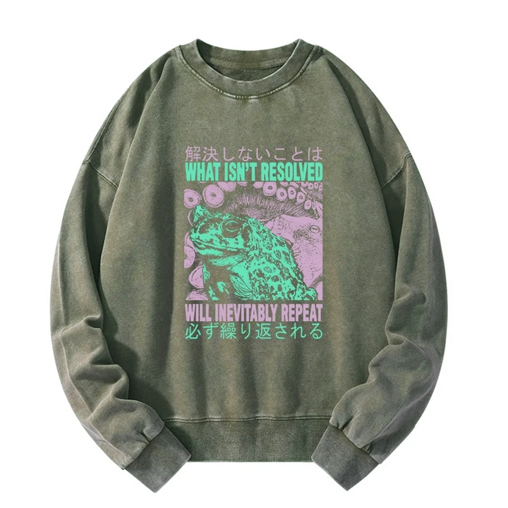 What Ist Resolved Forg Washed Sweatshirt