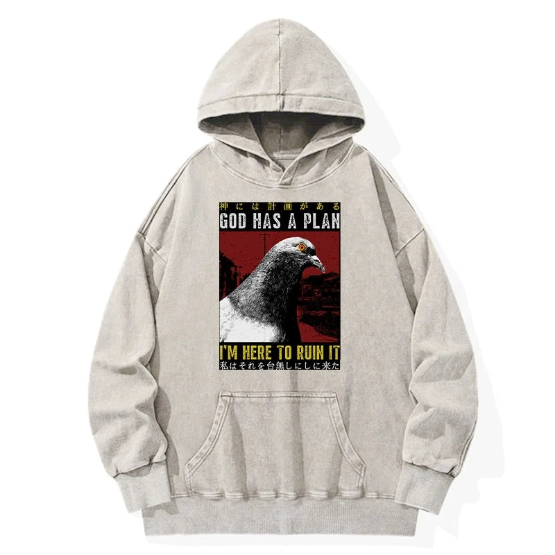 Pigeons That Want To Break The Plan Washed Hoodie
