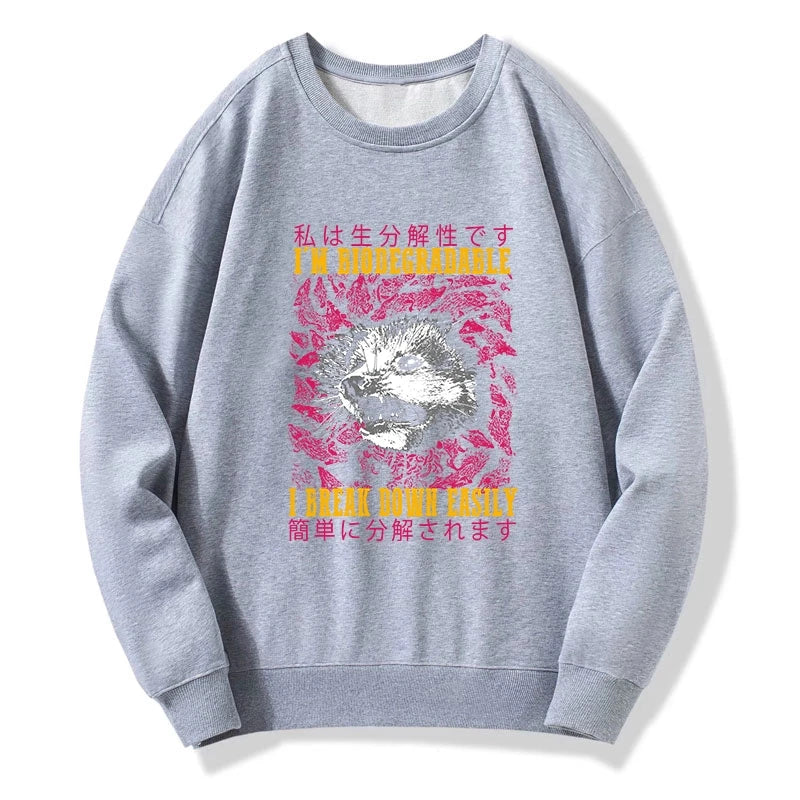 An Easily Breakable Opossum Sweatshirt