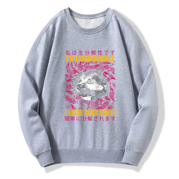 An Easily Breakable Opossum Sweatshirt