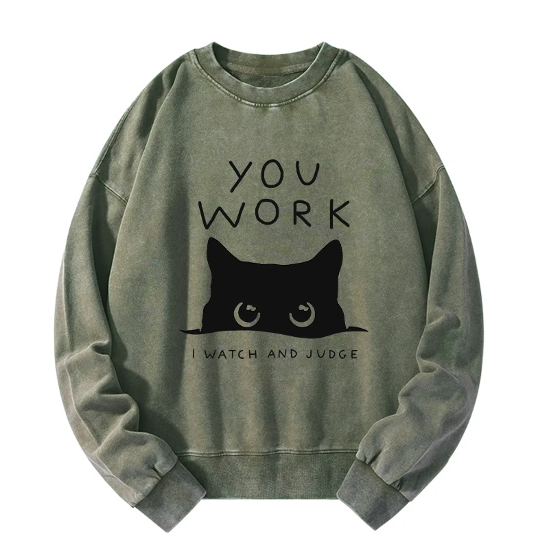 A Cat That Spies Washed Sweatshirt