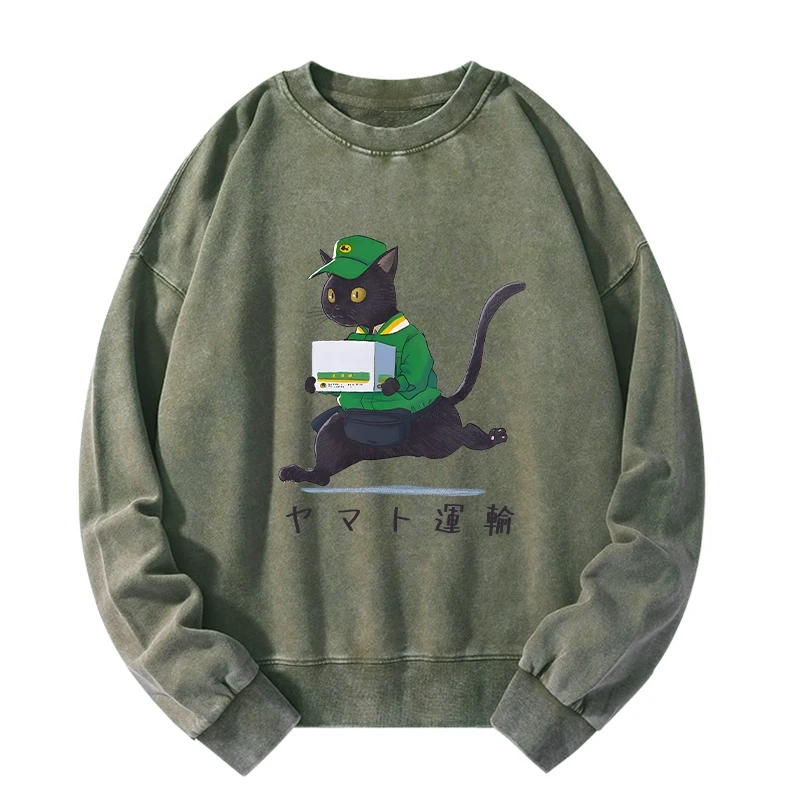 Black Cat Appreciation Day Washed Sweatshirt