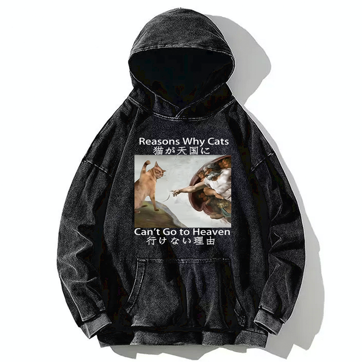 Naughty Cat Can't Go To Heaven Washed Hoodie