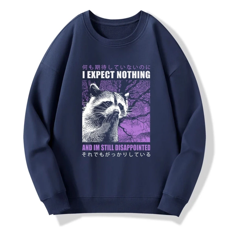 Disappointed Raccoon Japanese Sweatshirt