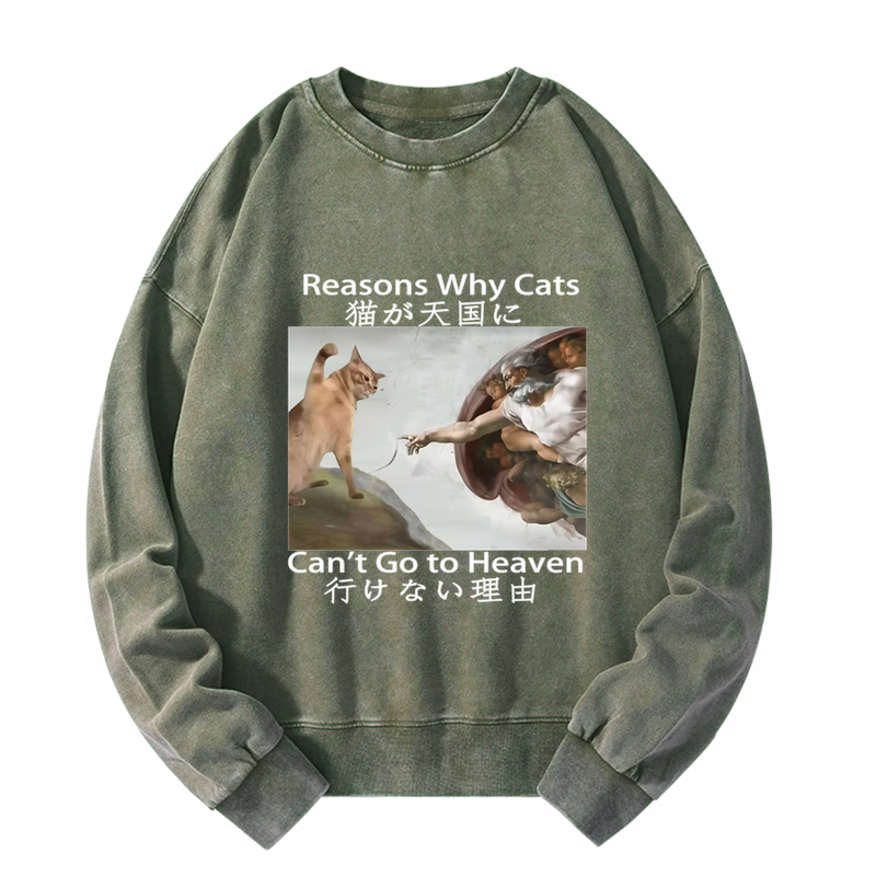 Naughty Cat Can't Go To Heaven Washed Sweatshirt