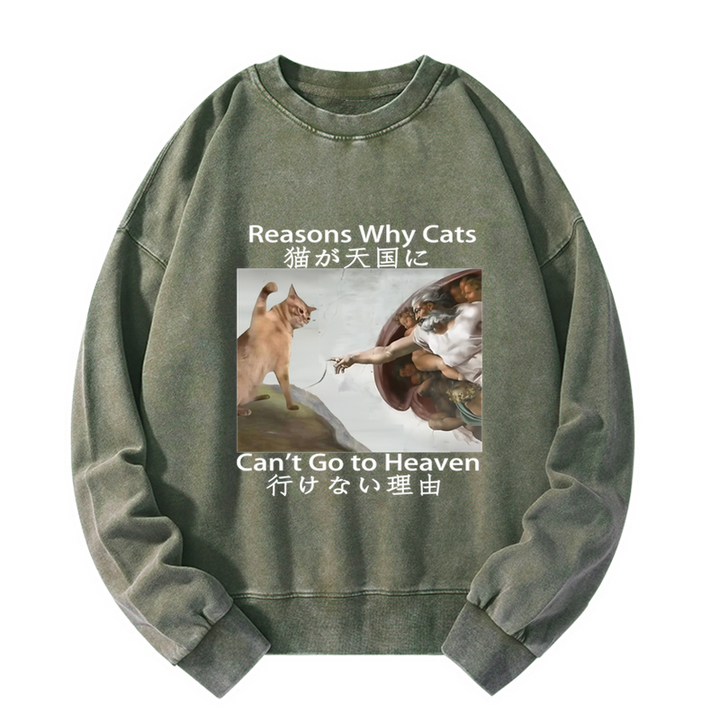 Naughty Cat Can't Go To Heaven Washed Sweatshirt