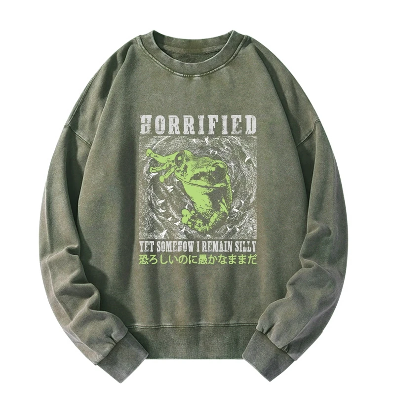 Silly Frog Japanese Washed Sweatshirt