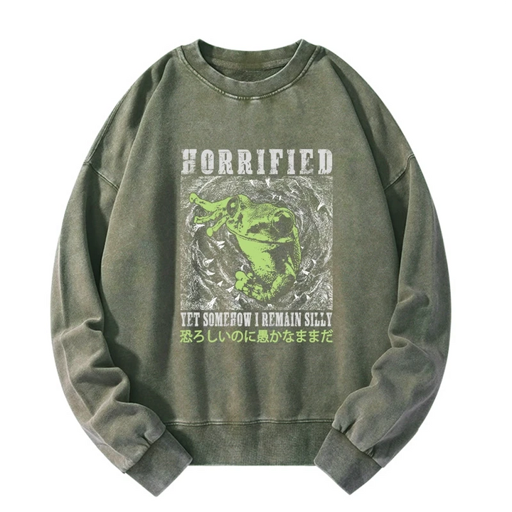 Silly Frog Japanese Washed Sweatshirt