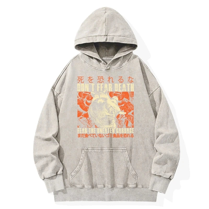Timid Raccoon Japanese Washed Hoodie
