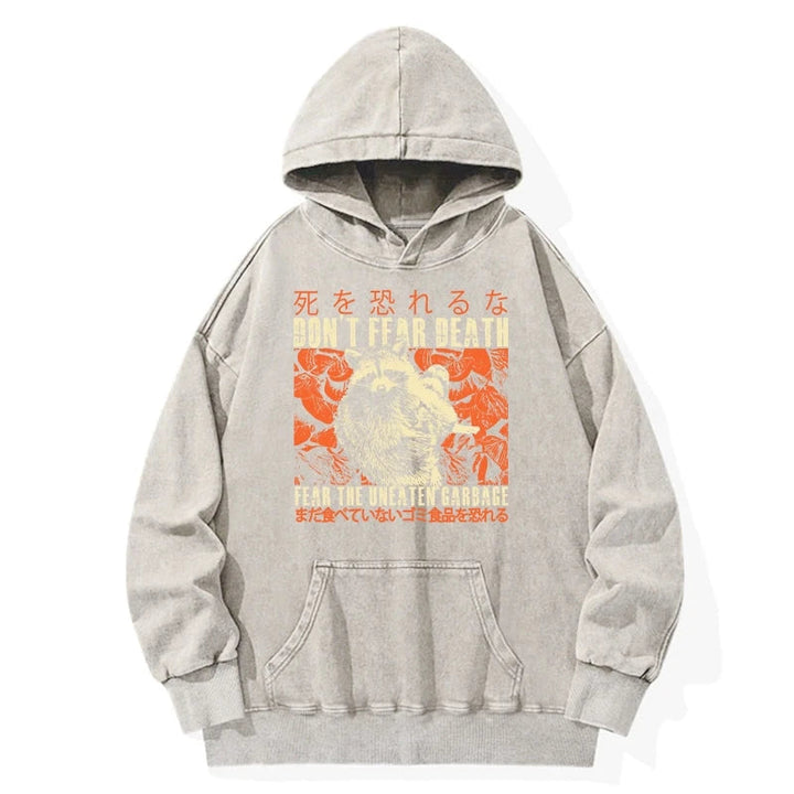 Timid Raccoon Japanese Washed Hoodie