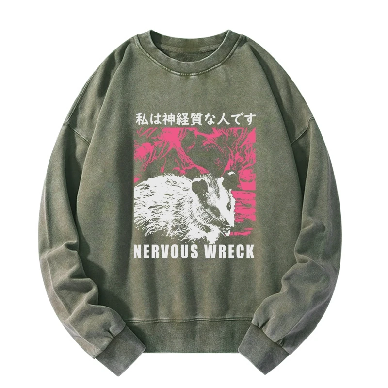 Nervous Wreck Washed Sweatshirt