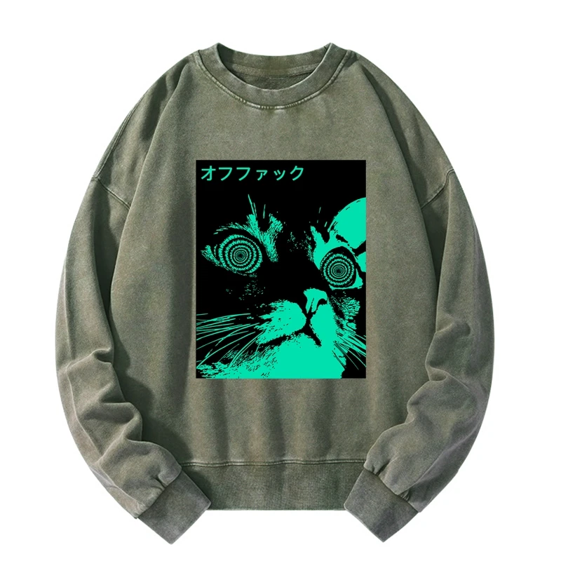 Cool Cat Japanese Washed Sweatshirt