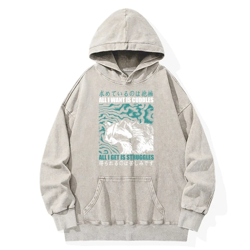 All I Get Is Struggles Washed Hoodie