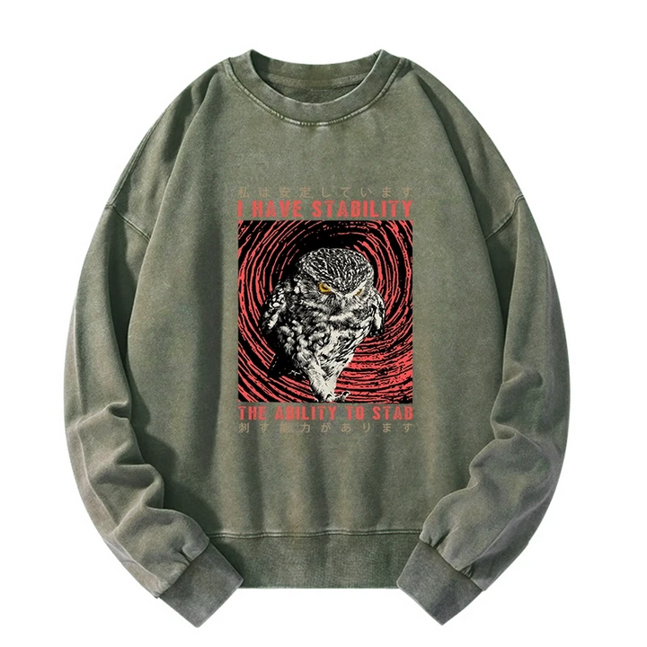 I Have Stability Owl Washed Sweatshirt